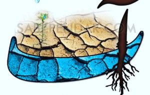 با صدای بلند فریاد بزنیم، ایست آب نیست با صدای بلند فریاد بزنیم، ایست آب نیست