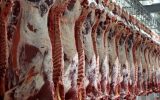 آغاز طرح تشدید نظارت بهداشتی بر مراکز عرضه فرآورده های خام دامی ایلام