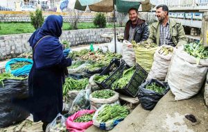 مدیرکل منابع‌طبیعی و آبخیرداری ایلام خبر داد: تشکیل ۲۲ پرونده تخلف برداشت گیاهان خوراکی در ایلام