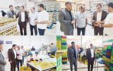 بهره برداری و آغاز به کار دو خط جدید کارخانجات دره شهر با حضور معاون سیاسی و امنیتی استاندار ایلام