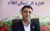 مدیرکل تأمین‌اجتماعی ایلام:  کسب رتبه اول کشوری توسط تأمین‌اجتماعی  ایلام