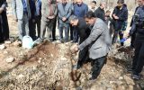 استاندار ایلام:  درختکاری به نیابت از شهدا، نماد استقامت و سرافرازی ایران اسلامی است