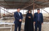 تأکید مدیرکل میراث‌فرهنگی ایلام بر ثبت جهانی محوطه تاریخی چغاگلان
